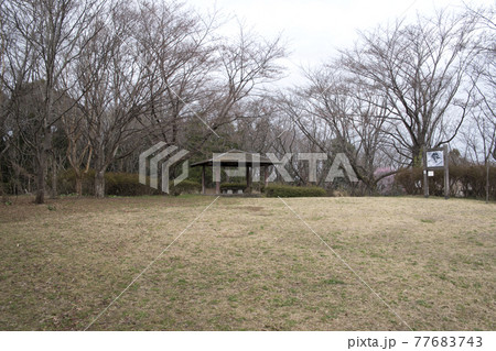 長命館公園　館跡 77683743