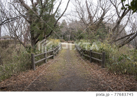 長命館公園　館跡に残る土橋 77683745