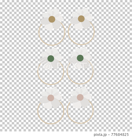 3 types of earrings and earrings (30) 3 types of earrings and earrings (30) 77684825