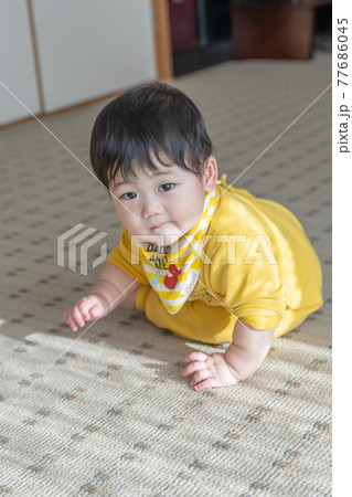 赤ちゃん　イメージ 77686045