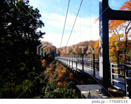 秋の奥出雲町　鬼の舌震 77686538