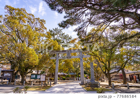 山口県萩市 松陰神社入り口の鳥居 山口県萩市 松陰神社入り口の鳥居 77686584