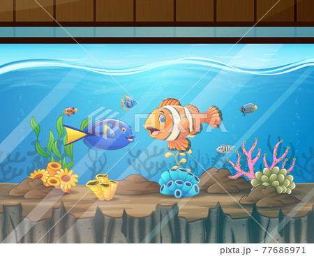 Different colorful fish in the aquarium Different colorful fish in the aquarium 77686971