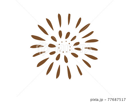 かわいい打ち上げ花火の夏 手書きイラストのイラスト素材