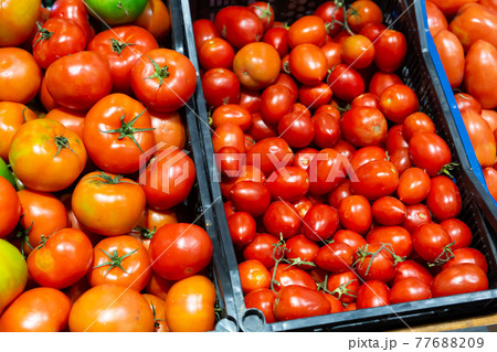 Ripe tomatoes offered for sale on market Ripe tomatoes offered for sale on market 77688209