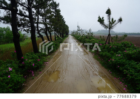 景色 風景 屋外 77688379