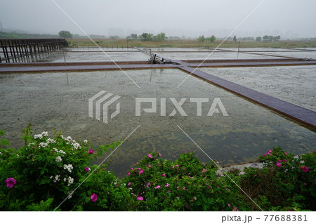 景色 風景 屋外 77688381