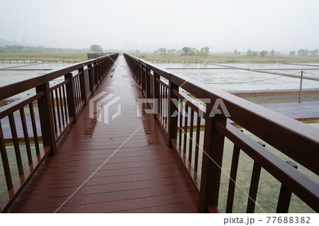 景色 風景 屋外 77688382