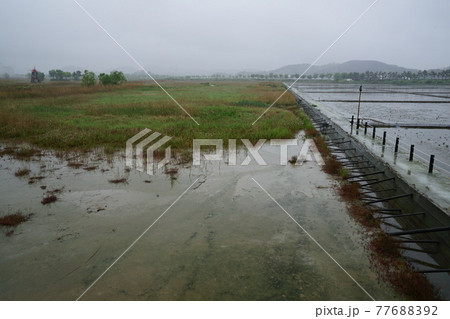 景色 風景 屋外 77688392