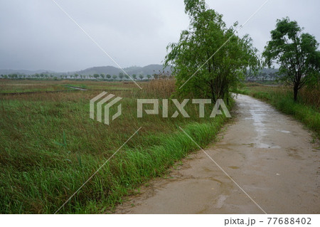 景色 風景 屋外 77688402