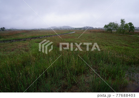 景色 風景 屋外 77688403