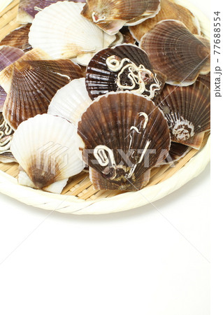 新鮮なホタテ稚貝のザル盛り、北海道サロマ湖産 77688554