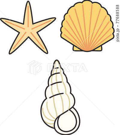 夏っぽいいろいろな貝殻のイラストのイラスト素材 [77688588] - PIXTA