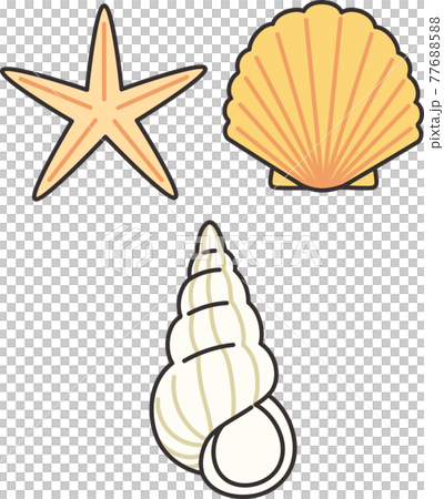 夏っぽいいろいろな貝殻のイラスト 77688588