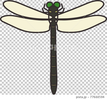 白い背景にオニヤンマのイラストのイラスト素材