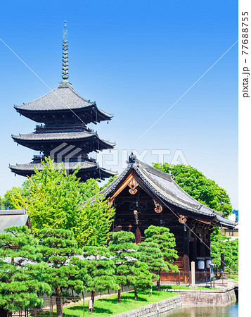 京都 東寺 五重塔と南大門 京都 東寺 五重塔と南大門 77688755