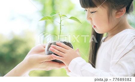 植物を見る親子　環境保護イメージ 77689382
