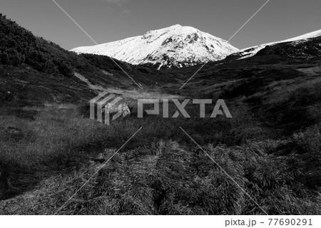 初冠雪の旭岳(モノクロバージョン) 77690291