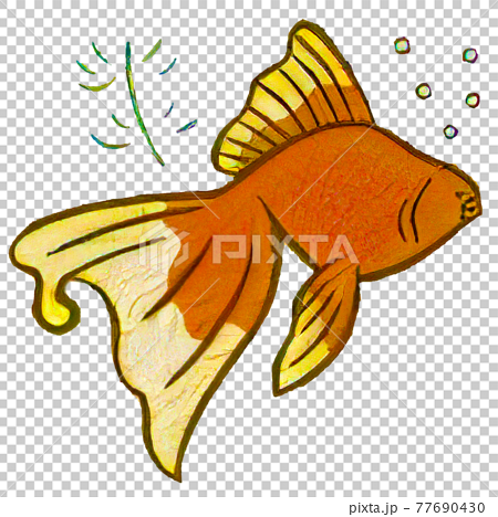 シンプルな金魚のイラストのイラスト素材
