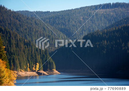 mountain lake in autumn season. beautiful countryside scenery on a sunny morning. bright blue sky with fluffy clouds reflecting on the water surface 77690889