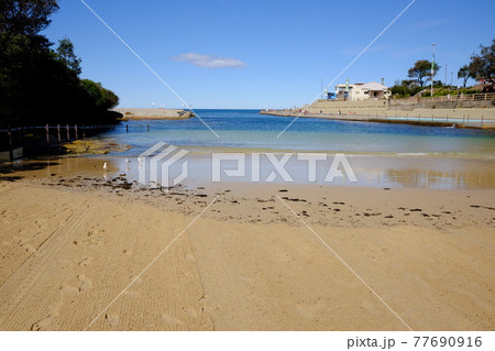 シドニーで最も美しい海岸線Bondi to Coogee Coastal Walk クロベリービーチ 77690916