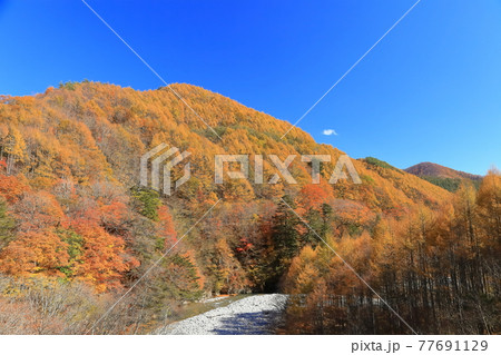 【山梨県】西沢渓谷紅葉 77691129