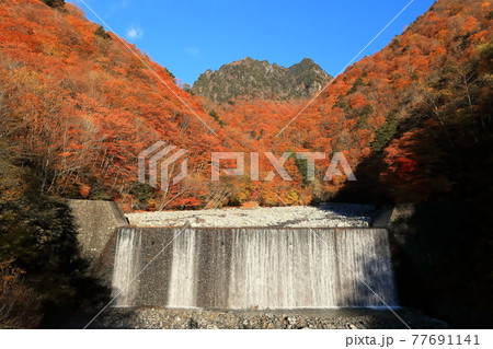 【山梨県】快晴の西沢渓谷と鶏冠山 77691141