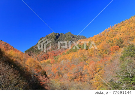 【山梨県】快晴の西沢渓谷と鶏冠山 77691144