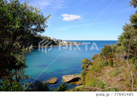 シドニーで最も美しい海岸線　Bondi to Coogee Coastal Walk　ゴードンズベイ 77691485