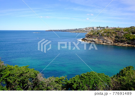 シドニーで最も美しい海岸線　Bondi to Coogee Coastal Walk　ゴードンズベイ 77691489