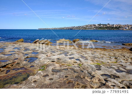 シドニーで最も美しい海岸線 Bondi to Coogee Coastal Walk ゴードンズベイ シドニーで最も美しい海岸線 Bondi to Coogee Coastal Walk ゴードンズベイ 77691491
