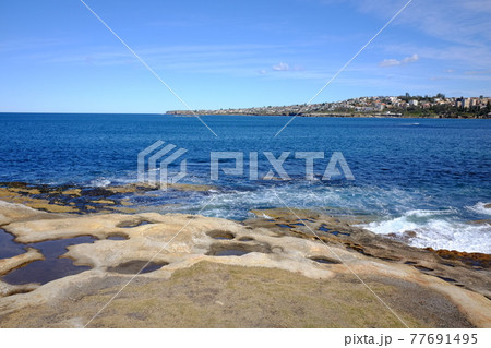シドニーで最も美しい海岸線　Bondi to Coogee Coastal Walk　ゴードンズベイ 77691495