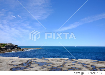 シドニーで最も美しい海岸線　Bondi to Coogee Coastal Walk　ゴードンズベイ 77691497