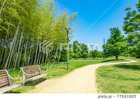 学びの森、緑あふれる公園〈岐阜県各務原市〉 77691605
