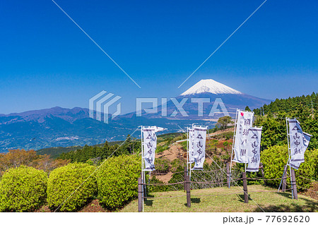 (静岡県)新緑の山中城址公園、富士山 (静岡県)新緑の山中城址公園、富士山 77692620