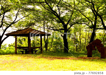 弘法山公園  ハイキング 77692858