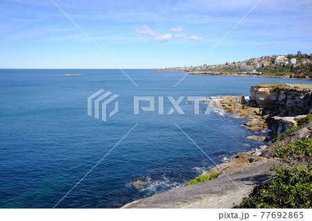 シドニーで最も美しい海岸線　Bondi to Coogee Coastal Walk　クージービーチ 77692865