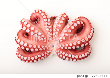 メキシコ産　真たこ　 77693343