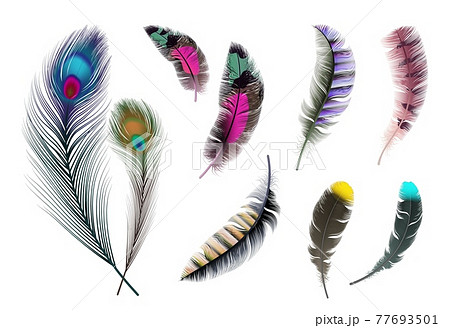 Bright feathers. Neon color decorative feather, peacock accessory. Realistic flying elements isolated vector set 77693501