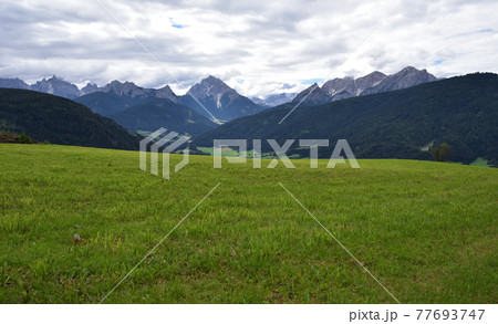 Meadow on the valley Meadow on the valley 77693747