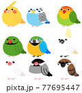 鳥 インコ オウム 77695447