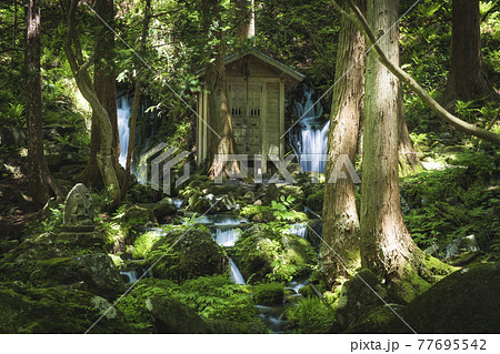 山形県 遊佐町 胴腹の滝 山形県 遊佐町 胴腹の滝 77695542