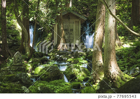 山形県 遊佐町 胴腹の滝 山形県 遊佐町 胴腹の滝 77695543