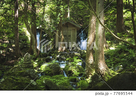 山形県 遊佐町 胴腹の滝 山形県 遊佐町 胴腹の滝 77695544