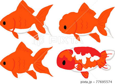 Goldfish, goldfish scooping, summer, summer - Stock Illustration  [91786236] - PIXTA