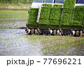 田植え作業 77696221