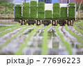 田植え作業 77696223