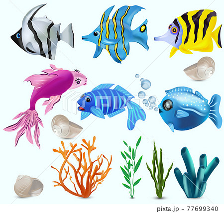 Underwater World Tropical Fish Addis のイラスト素材