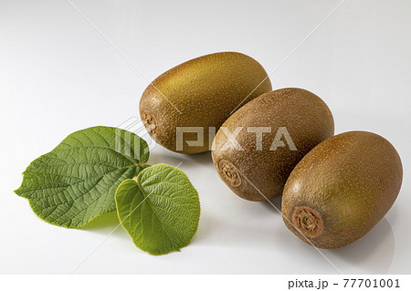 葉を添えたゴールデンキュウイ 77701001