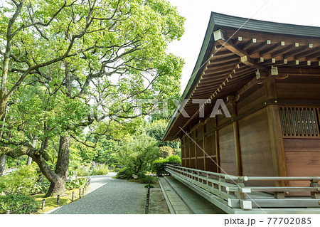 城南宮神苑、緑の眩い平安の庭へと続く道に佇む寝殿造りの神楽殿 城南宮神苑、緑の眩い平安の庭へと続く道に佇む寝殿造りの神楽殿 77702085
